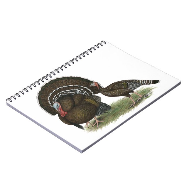 Cuaderno Bronce estándar de Turquía (Lado Izquierdo)