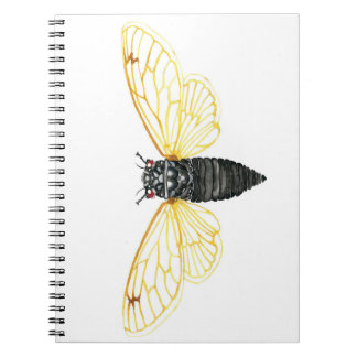 Cuaderno Brood X Cicada Periódica A 17 Años