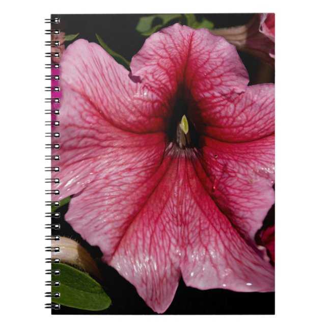 Cuaderno Brote floral (Frente)