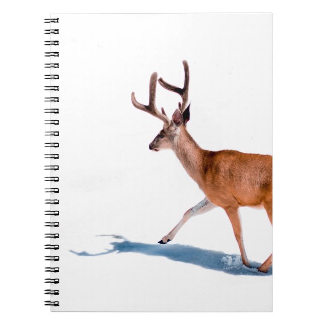 CUADERNO BROWN DEER EN BLANCO (Frente)