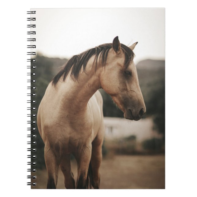 CUADERNO BROWN HORSE (Frente)
