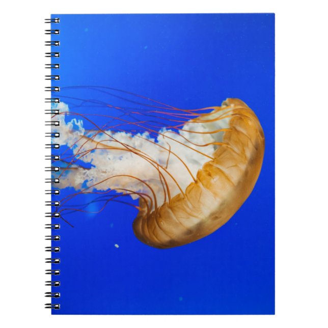 CUADERNO BROWN JELLYFISH (Frente)