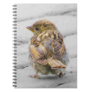 Cuaderno Brown Sparrow