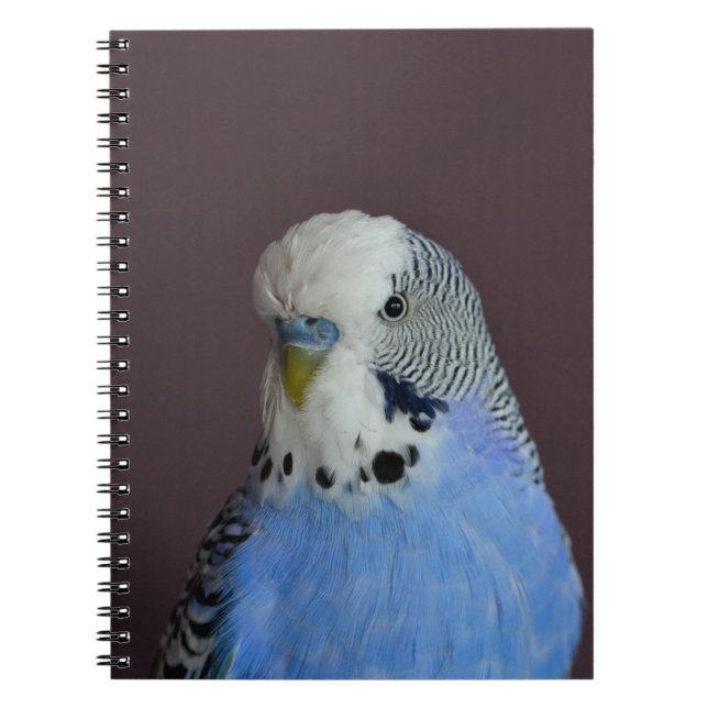 Cuaderno Budgie precioso azul (Frente)