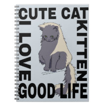 Buena vida para un gato lindo