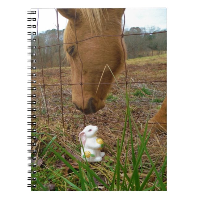 Cuaderno Buey y flor de primavera Bunny (Frente)