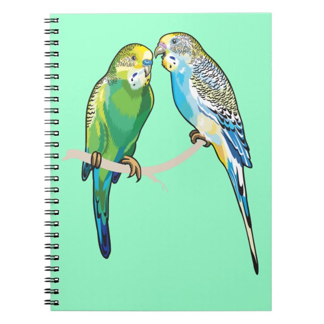Cuaderno bugerianos (Frente)