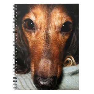Cuaderno Bugs de sonrisa MacKenzie
