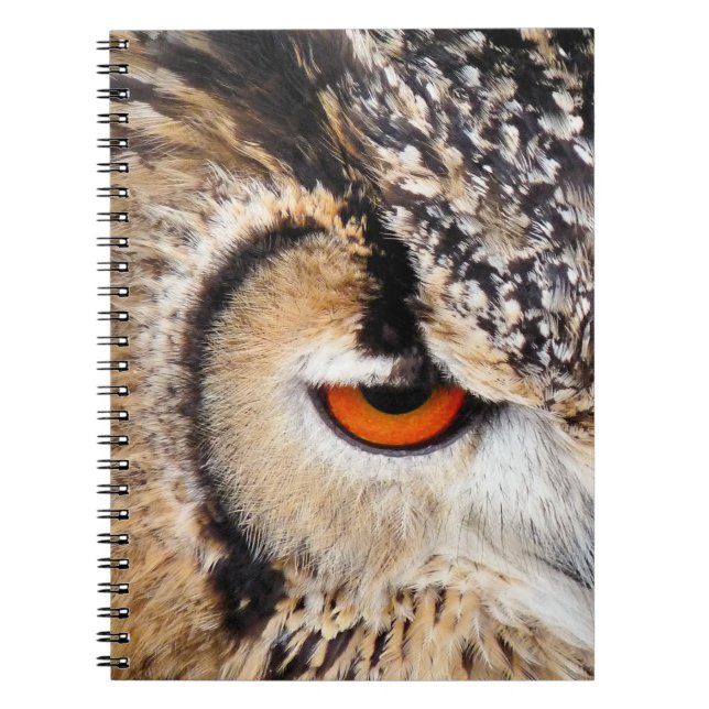 CUADERNO BÚHO (Frente)