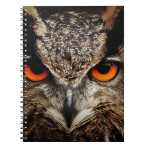 Cuaderno Búho