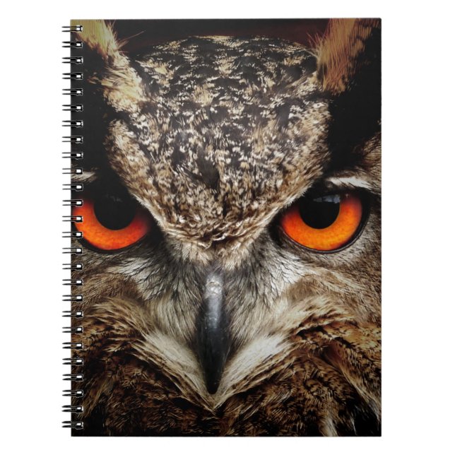 Cuaderno Búho (Frente)