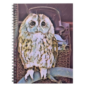 CUADERNO BÚHO