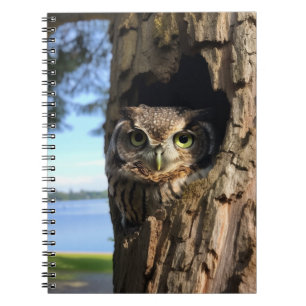 Cuaderno Búho