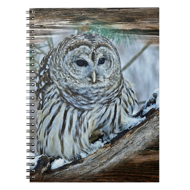 Cuaderno Búho (Frente)