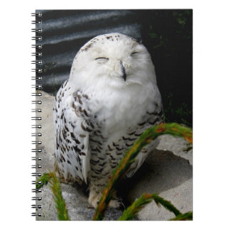 Cuaderno Búho de nieve