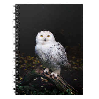 Cuaderno Búho de nieve invernal majestuoso