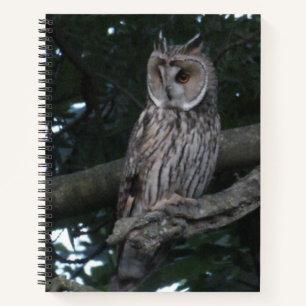 Cuaderno Búho de orejas largas cierra un portátil