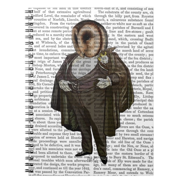 Cuaderno Búho en la ópera (Frente)