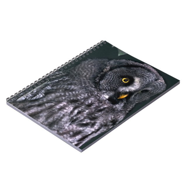 Cuaderno Búho Gris Grande (Lado Izquierdo)