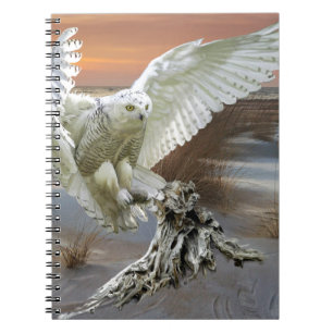Cuaderno Búho Nevado