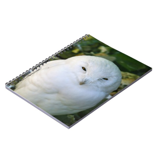Cuaderno Búho nival (Lado Izquierdo)
