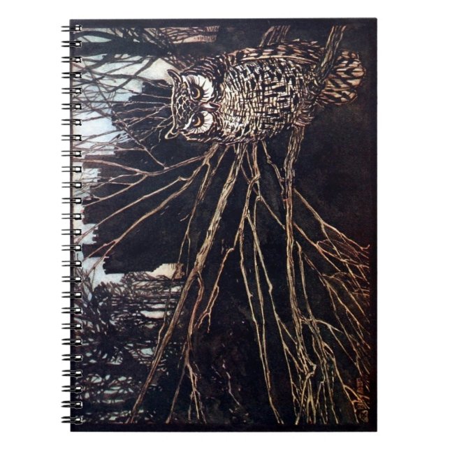 Cuaderno Búho Nocturno Antiguo Rackham (Frente)