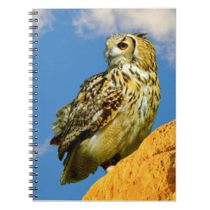 Cuaderno búho real euroasiático