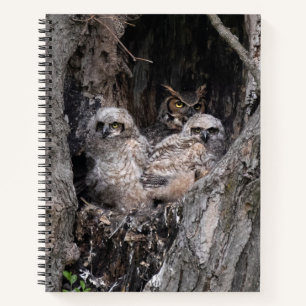 Cuaderno Búho y lechuzas