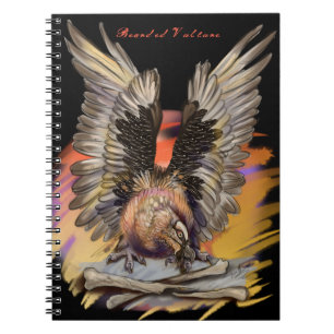 Cuaderno Buitre de barba