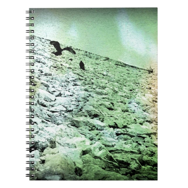 Cuaderno Buitres en el lago (Frente)