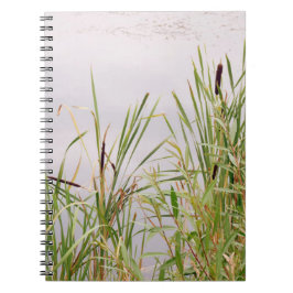 Cuaderno Bulbidos por agua