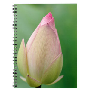 Cuaderno Bulbo de Nenúfar sin abrir, Jardín Botánico de Dur