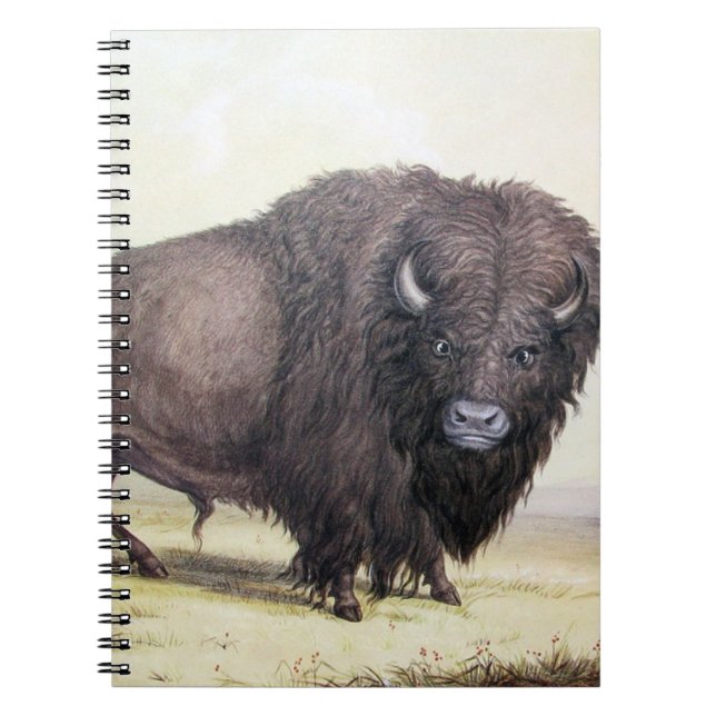Cuaderno Bull Buffalo (Frente)