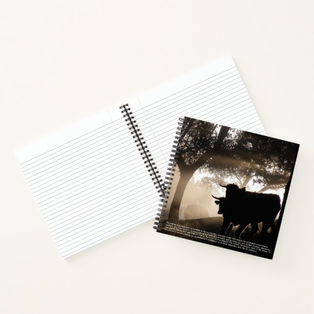 Cuaderno Bull Hardcover (Interior)