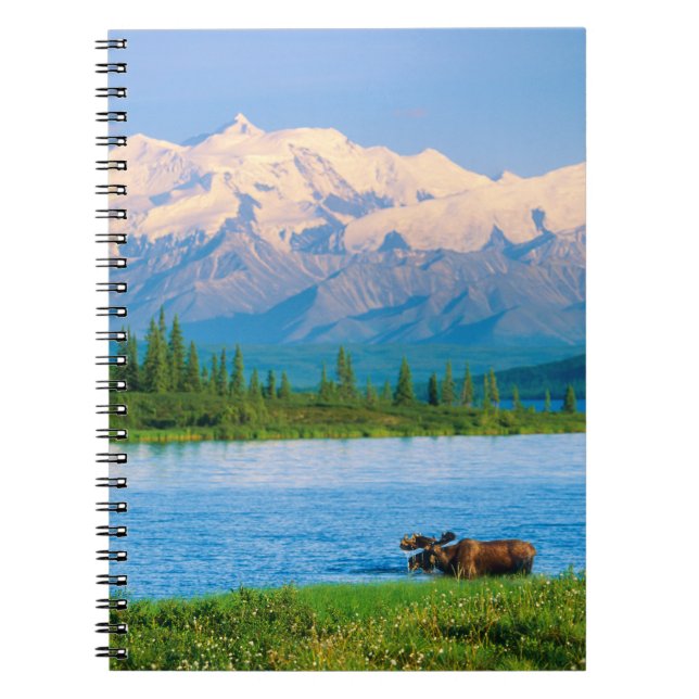Cuaderno Bull moose in Wonder Lake (Frente)