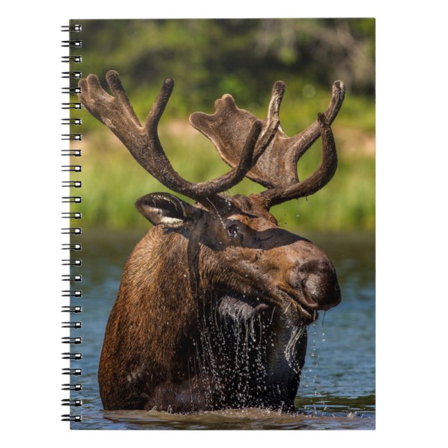 Cuaderno Bull Moose | Parque nacional Glaciar Montana (Frente)