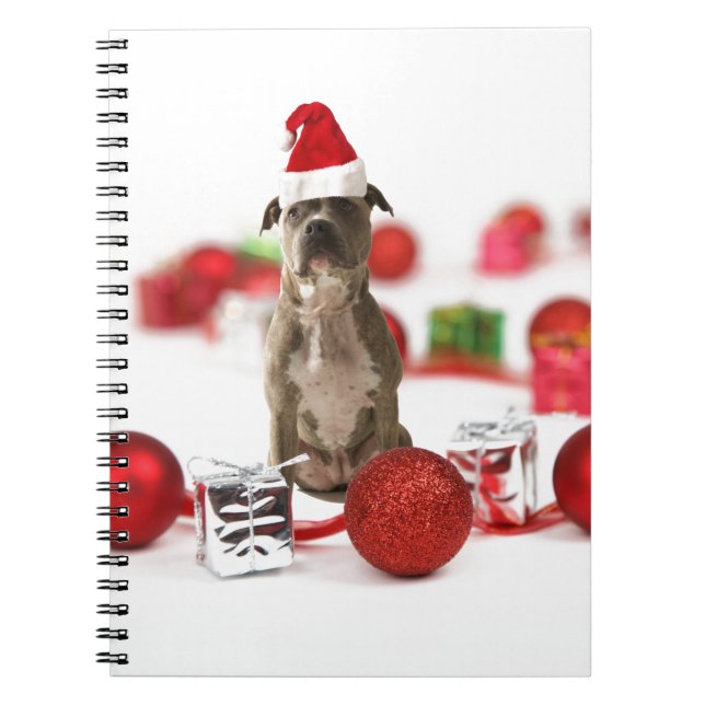 Cuaderno Bulldog con caja de regalo y adornos navideños (Frente)