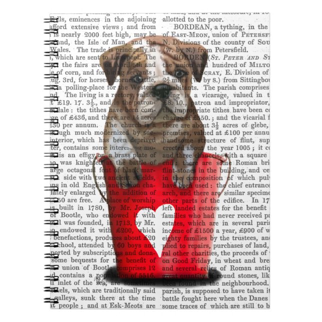 Cuaderno Bulldog Cubo De Amor Rojo (Frente)