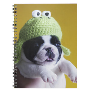 Cuaderno Bulldog francés