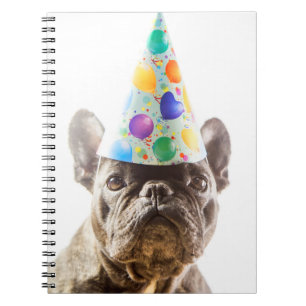 Cuaderno Bulldog francés con Fiesta Gorra