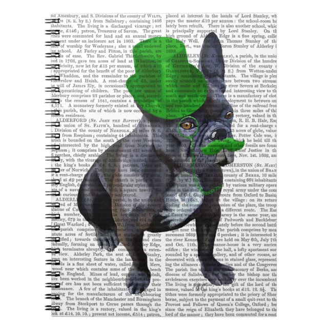 Cuaderno Bulldog francés con sombrero verde superior y bigo (Frente)