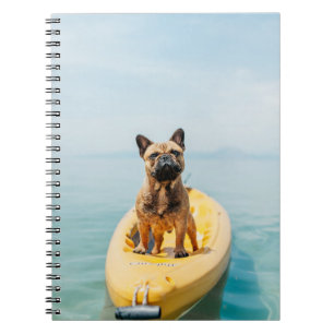 Cuaderno Bulldog francés de color marrón adulto parado en k