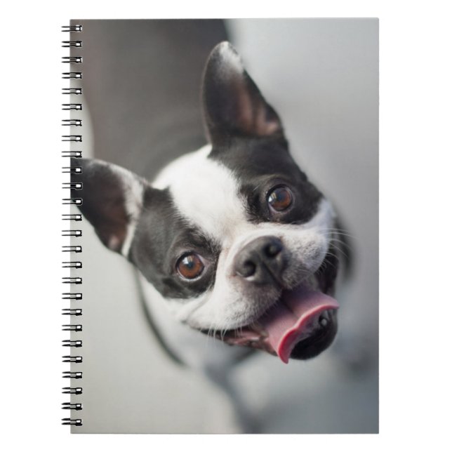 Cuaderno Bulldog francés de las imágenes el | de Getty (Frente)