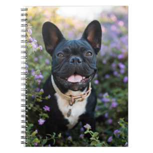 Cuaderno Bulldog francés en flores