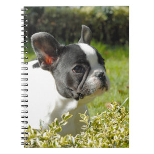 Cuaderno Bulldog francés lindo sobre hierba