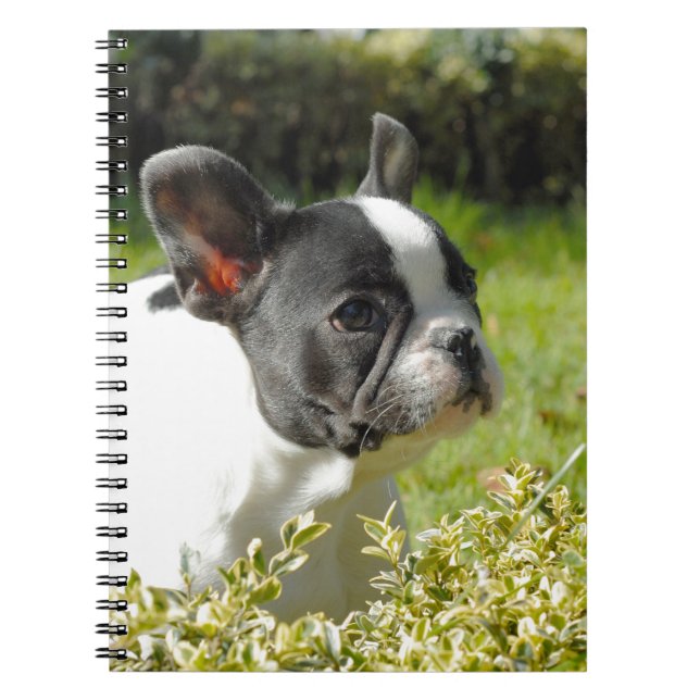 Cuaderno Bulldog francés lindo sobre hierba (Frente)