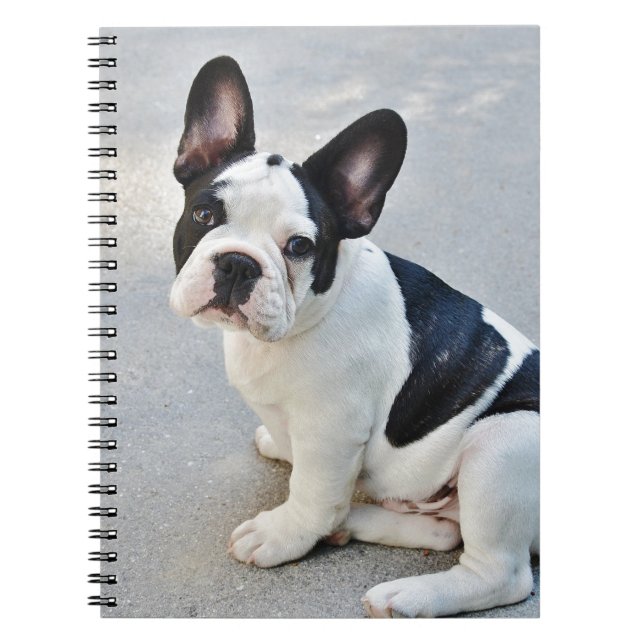 Cuaderno bulldog francés sentado (Frente)