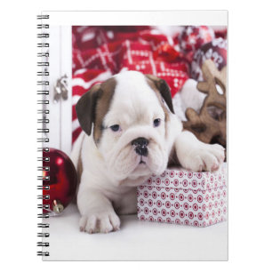 Cuaderno Bulldog inglés de cachorro suave   Navidades diver