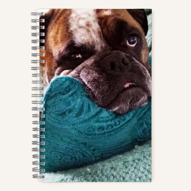 Cuaderno Bulldog victoriano Foto 8x5 portátil (Anverso)
