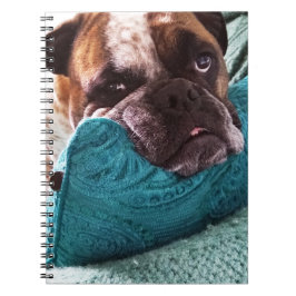 Cuaderno Bulldog victoriano Foto 9x6 portátil